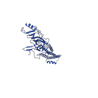 28826_8f2s_B_v1-1
Cryo-EM structure of Torpedo nicotinic acetylcholine receptor in complex with rocuronium, pore-blocked state