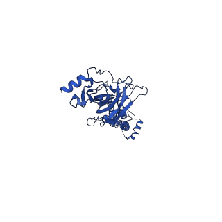 28826_8f2s_C_v1-1
Cryo-EM structure of Torpedo nicotinic acetylcholine receptor in complex with rocuronium, pore-blocked state