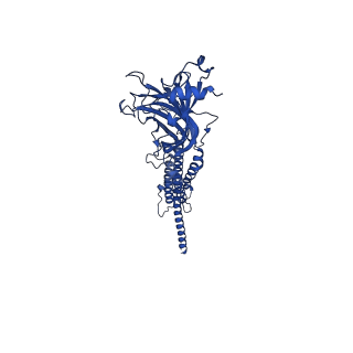 28826_8f2s_E_v1-1
Cryo-EM structure of Torpedo nicotinic acetylcholine receptor in complex with rocuronium, pore-blocked state