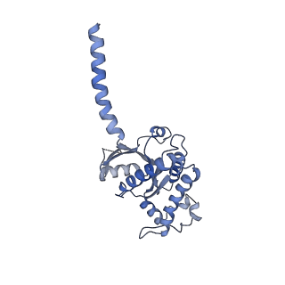 31426_7f23_A_v1-1
Cryo-EM structure of the GTP-bound dopamine receptor 1 and mini-Gs complex with Nb35