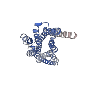 31426_7f23_F_v1-1
Cryo-EM structure of the GTP-bound dopamine receptor 1 and mini-Gs complex with Nb35