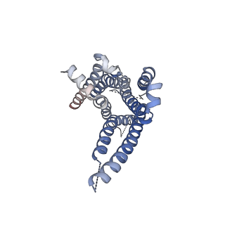 31427_7f24_F_v1-1
Cryo-EM structure of the GTP-bound dopamine receptor 1 and mini-Gs complex without Nb35