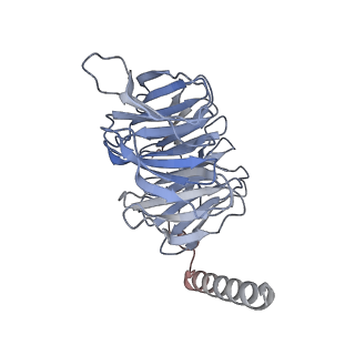 31429_7f2o_B_v1-0
Cryo-EM structure of the type 2 bradykinin receptor in complex with the bradykinin and an Gq protein