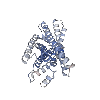 31429_7f2o_R_v1-0
Cryo-EM structure of the type 2 bradykinin receptor in complex with the bradykinin and an Gq protein