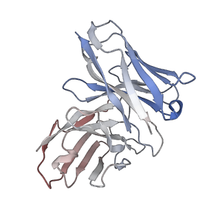31429_7f2o_S_v1-0
Cryo-EM structure of the type 2 bradykinin receptor in complex with the bradykinin and an Gq protein