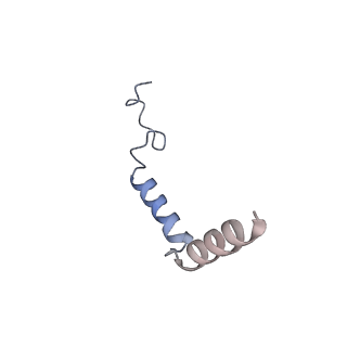 31429_7f2o_Y_v1-0
Cryo-EM structure of the type 2 bradykinin receptor in complex with the bradykinin and an Gq protein