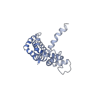 4173_6f2d_A_v1-3
A FliPQR complex forms the core of the Salmonella type III secretion system export apparatus.