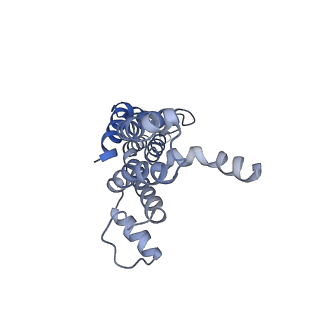 4173_6f2d_B_v1-3
A FliPQR complex forms the core of the Salmonella type III secretion system export apparatus.