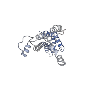 4173_6f2d_C_v1-3
A FliPQR complex forms the core of the Salmonella type III secretion system export apparatus.