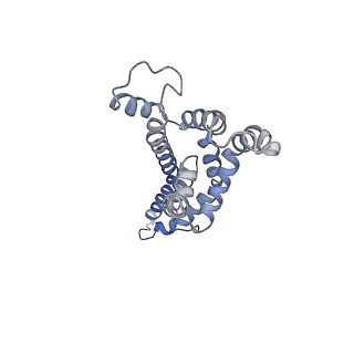 4173_6f2d_D_v1-3
A FliPQR complex forms the core of the Salmonella type III secretion system export apparatus.