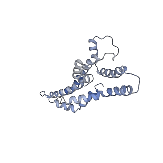4173_6f2d_E_v1-3
A FliPQR complex forms the core of the Salmonella type III secretion system export apparatus.