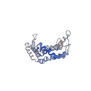 4173_6f2d_F_v1-3
A FliPQR complex forms the core of the Salmonella type III secretion system export apparatus.