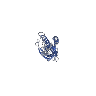 28829_8f32_A_v1-1
ELIC with Propylamine in SMA nanodiscs with 2:1:1 POPC:POPE:POPG