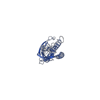 28829_8f32_B_v1-1
ELIC with Propylamine in SMA nanodiscs with 2:1:1 POPC:POPE:POPG