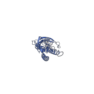 28829_8f32_C_v1-1
ELIC with Propylamine in SMA nanodiscs with 2:1:1 POPC:POPE:POPG