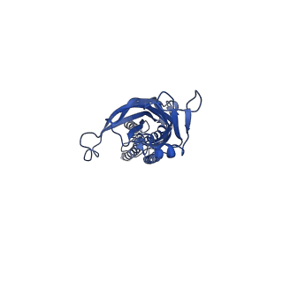 28830_8f33_A_v1-1
ELIC with Propylamine in saposin nanodiscs with 2:1:1 POPC:POPE:POPG