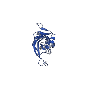 28830_8f33_B_v1-1
ELIC with Propylamine in saposin nanodiscs with 2:1:1 POPC:POPE:POPG