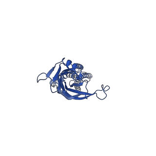 28830_8f33_C_v1-1
ELIC with Propylamine in saposin nanodiscs with 2:1:1 POPC:POPE:POPG