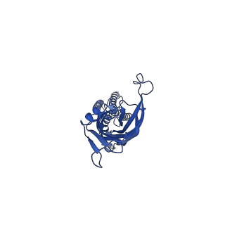 28830_8f33_D_v1-1
ELIC with Propylamine in saposin nanodiscs with 2:1:1 POPC:POPE:POPG