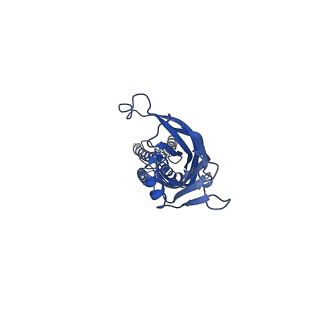 28830_8f33_E_v1-1
ELIC with Propylamine in saposin nanodiscs with 2:1:1 POPC:POPE:POPG