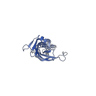 28831_8f34_B_v1-0
ELIC with Propylamine in spMSP1D1 nanodiscs with 2:1:1 POPC:POPE:POPG