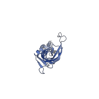 28831_8f34_C_v1-1
ELIC with Propylamine in spMSP1D1 nanodiscs with 2:1:1 POPC:POPE:POPG