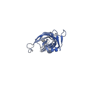 28831_8f34_E_v1-0
ELIC with Propylamine in spMSP1D1 nanodiscs with 2:1:1 POPC:POPE:POPG