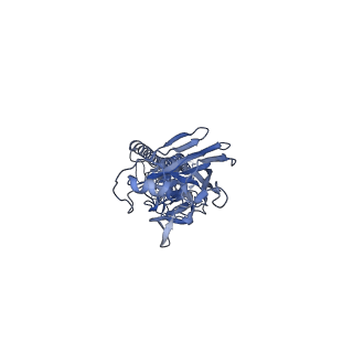 28833_8f38_A_v1-0
Cryo-EM structure of X6 COBRA (H1N1) hemagglutinin bound to CR6261 Fab