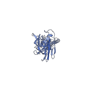 28833_8f38_B_v1-0
Cryo-EM structure of X6 COBRA (H1N1) hemagglutinin bound to CR6261 Fab