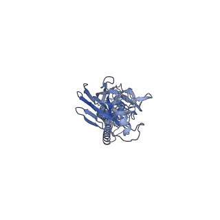 28833_8f38_C_v1-0
Cryo-EM structure of X6 COBRA (H1N1) hemagglutinin bound to CR6261 Fab