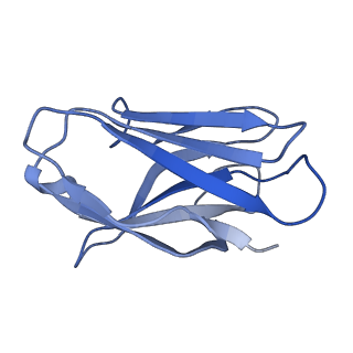 28833_8f38_D_v1-0
Cryo-EM structure of X6 COBRA (H1N1) hemagglutinin bound to CR6261 Fab
