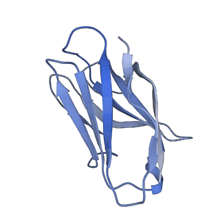 28833_8f38_E_v1-0
Cryo-EM structure of X6 COBRA (H1N1) hemagglutinin bound to CR6261 Fab