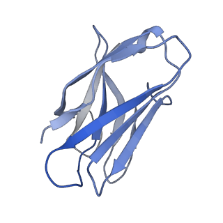 28833_8f38_F_v1-0
Cryo-EM structure of X6 COBRA (H1N1) hemagglutinin bound to CR6261 Fab