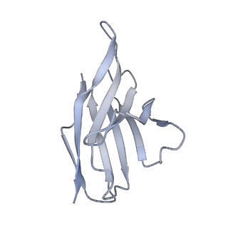 28833_8f38_G_v1-0
Cryo-EM structure of X6 COBRA (H1N1) hemagglutinin bound to CR6261 Fab