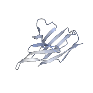 28833_8f38_H_v1-0
Cryo-EM structure of X6 COBRA (H1N1) hemagglutinin bound to CR6261 Fab