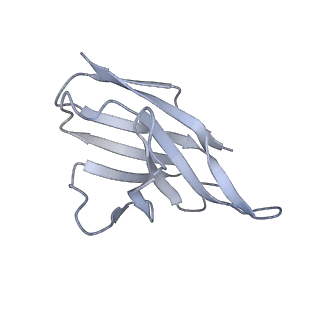 28833_8f38_I_v1-0
Cryo-EM structure of X6 COBRA (H1N1) hemagglutinin bound to CR6261 Fab
