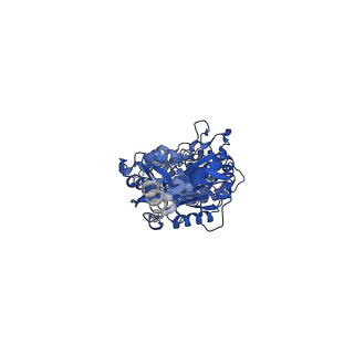 28835_8f39_A_v1-1
Yeast ATP synthase in conformation-2, at pH 6