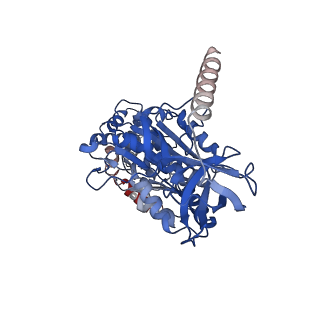 28835_8f39_B_v1-1
Yeast ATP synthase in conformation-2, at pH 6