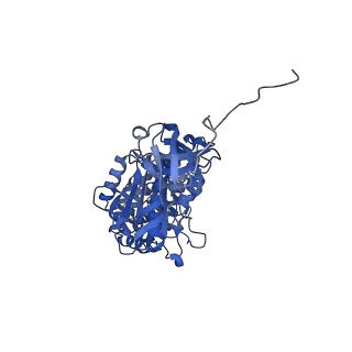 28835_8f39_C_v1-1
Yeast ATP synthase in conformation-2, at pH 6