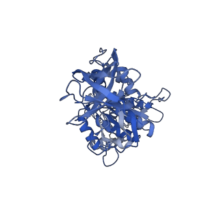 28835_8f39_D_v1-1
Yeast ATP synthase in conformation-2, at pH 6