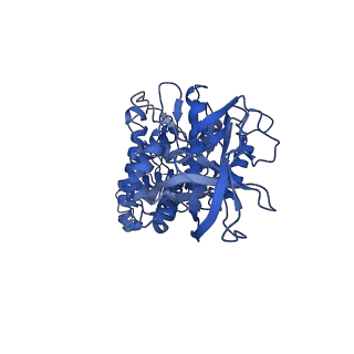 28835_8f39_E_v1-1
Yeast ATP synthase in conformation-2, at pH 6