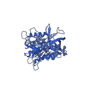 28835_8f39_F_v1-1
Yeast ATP synthase in conformation-2, at pH 6