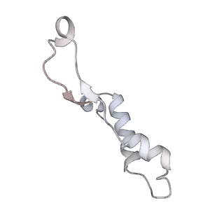 28835_8f39_I_v1-1
Yeast ATP synthase in conformation-2, at pH 6