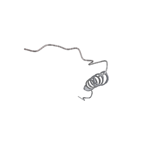 28835_8f39_J_v1-1
Yeast ATP synthase in conformation-2, at pH 6