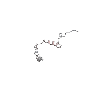 28835_8f39_U_v1-1
Yeast ATP synthase in conformation-2, at pH 6