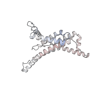 28835_8f39_X_v1-1
Yeast ATP synthase in conformation-2, at pH 6