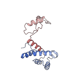 28835_8f39_Y_v1-1
Yeast ATP synthase in conformation-2, at pH 6