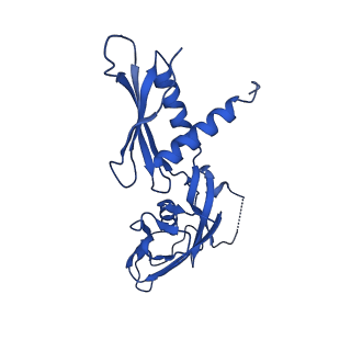 28845_8f3c_G_v1-1
Cryo-EM consensus structure of Escherichia coli que-PEC (paused elongation complex) RNA Polymerase minus preQ1 ligand