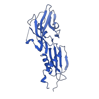 28845_8f3c_H_v1-1
Cryo-EM consensus structure of Escherichia coli que-PEC (paused elongation complex) RNA Polymerase minus preQ1 ligand
