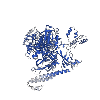 28845_8f3c_I_v1-1
Cryo-EM consensus structure of Escherichia coli que-PEC (paused elongation complex) RNA Polymerase minus preQ1 ligand